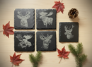 Engraved Coasters – Wildlife - Great North Gear