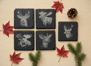 Five engraved wildlife slate coasters arranged with maple leaves, evergreen branches and a pinecone.