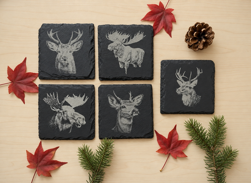 Five engraved wildlife slate coasters arranged with maple leaves, evergreen branches and a pinecone.