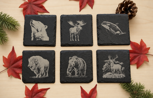 Six engraved wildlife slate coasters arranged with maple leaves, evergreen branches and a pinecone.